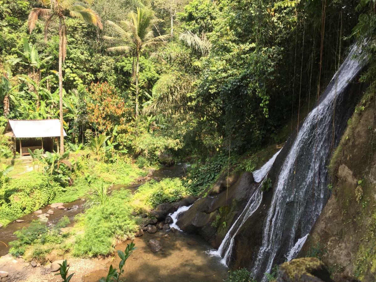 Pondok Plantation Luxury Mountain Escape Bedugul Бедугул Экстерьер фото