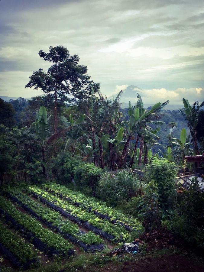 Pondok Plantation Luxury Mountain Escape Bedugul Бедугул Экстерьер фото